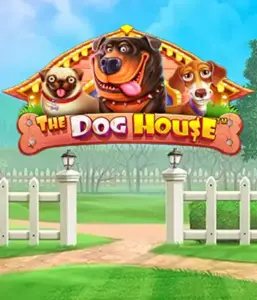 Experience Pragmatic Play's The Dog House adventure, offering a delightful experience into the world of lovable dogs. Enjoy gameplay elements including free spins, aimed at delivering exciting wins. Perfect for those who enjoy a cheerful theme and the opportunity to win big.