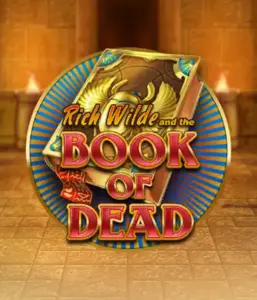 Embark on the thrilling world of Book of Dead Slot by Play'n GO, featuring vivid graphics of Rich Wilde's journey through ancient Egyptian tombs and artifacts. Find lost riches with exciting mechanics like free spins, expanding icons, and a gamble option. Ideal for those seeking adventure with a desire for exciting finds.